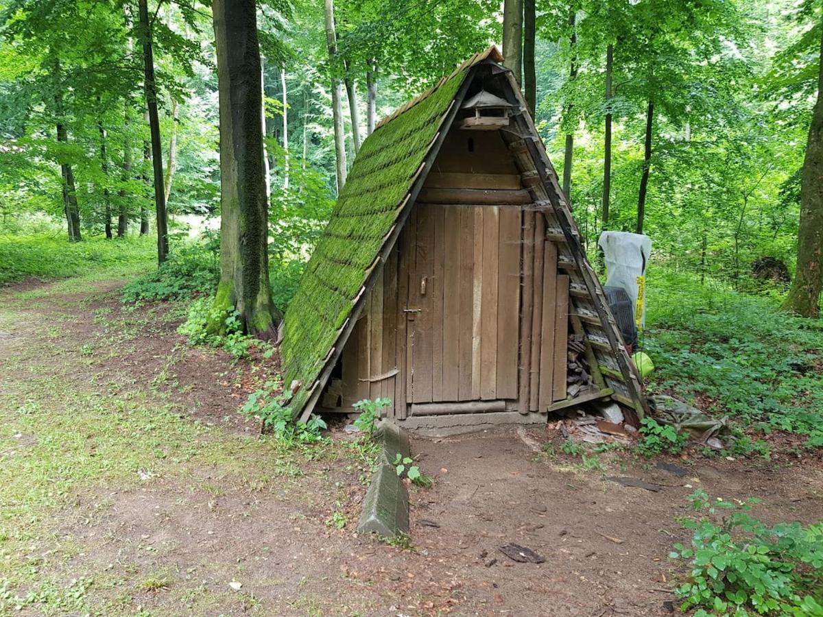 Slovak Cottage Near Bratislava In The Heart Of The Carpathians Modra Exterior photo
