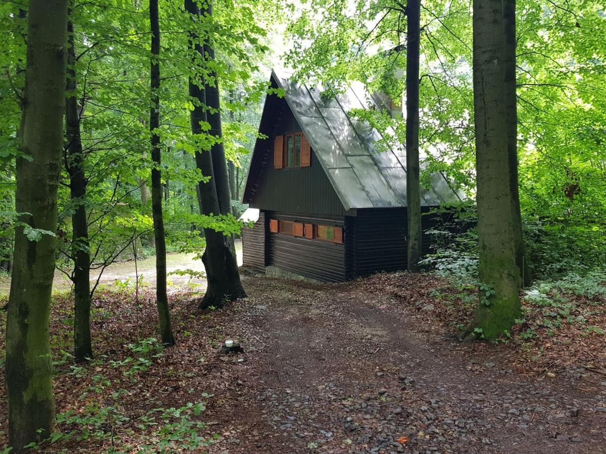 Slovak Cottage Near Bratislava In The Heart Of The Carpathians Modra Exterior photo