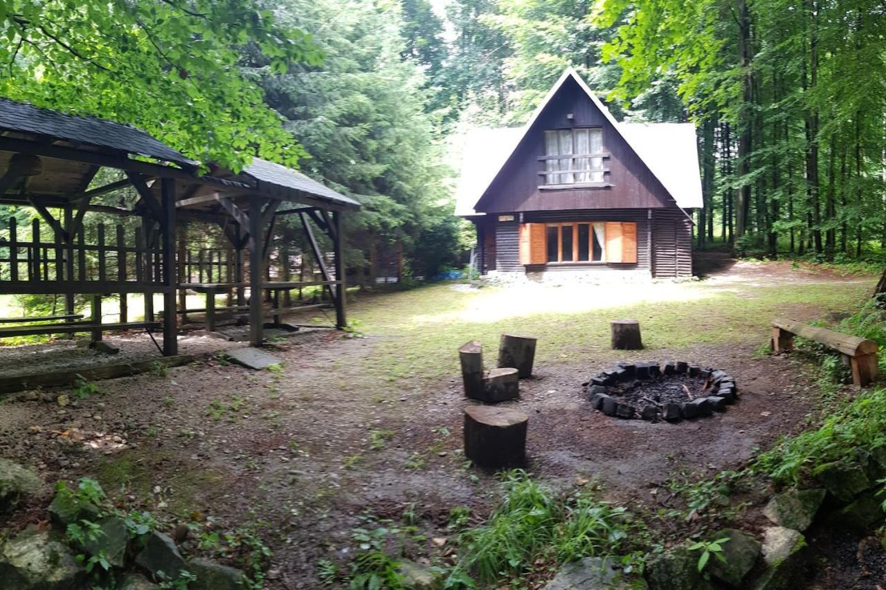 Slovak Cottage Near Bratislava In The Heart Of The Carpathians Modra Exterior photo